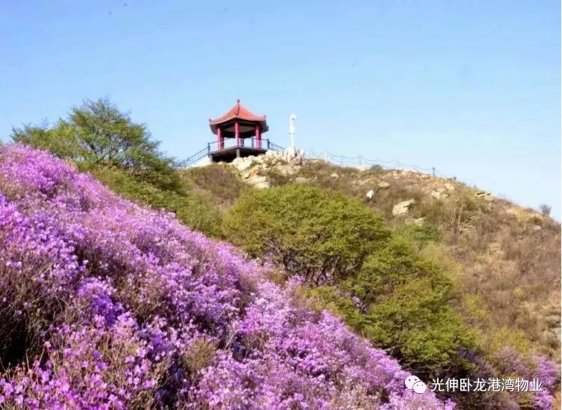bevictor伟德-bv伟德国际体育官方网站